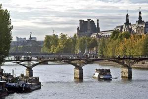 view of pont des arts paris